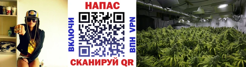 Купить закладку Прокопьевск Альфа ПВП Меф ГАШИШ Бошки Шишки КОКАИН