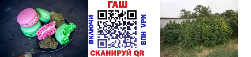 купить закладку  Прокопьевск  Cannafood марихуана 