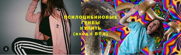 скорость Абаза