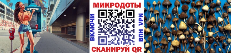 Псилоцибиновые грибы ЛСД Прокопьевск