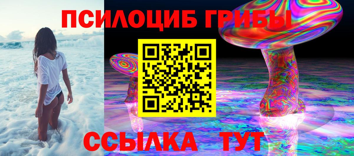 Галлюциногенные грибы прущие грибы Прокопьевск