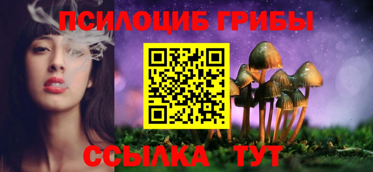 Прокопьевск  Псилоцибиновые грибы мухоморы  Вход с VPN 