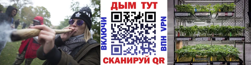 купить наркоту  Прокопьевск  Шишки марихуана Ganja 